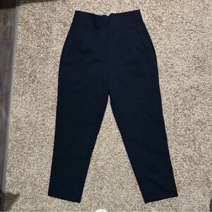 Zara Navy Pleated Pants